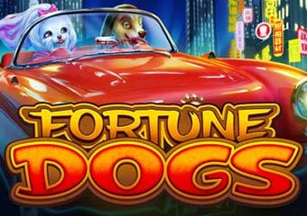 Fortune Dogs